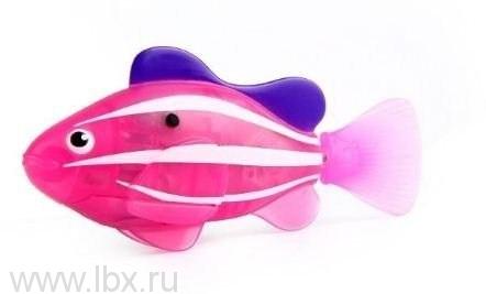   `` (), Zuru Toys Inc. Robo Fish (  .  )   LBX.RU